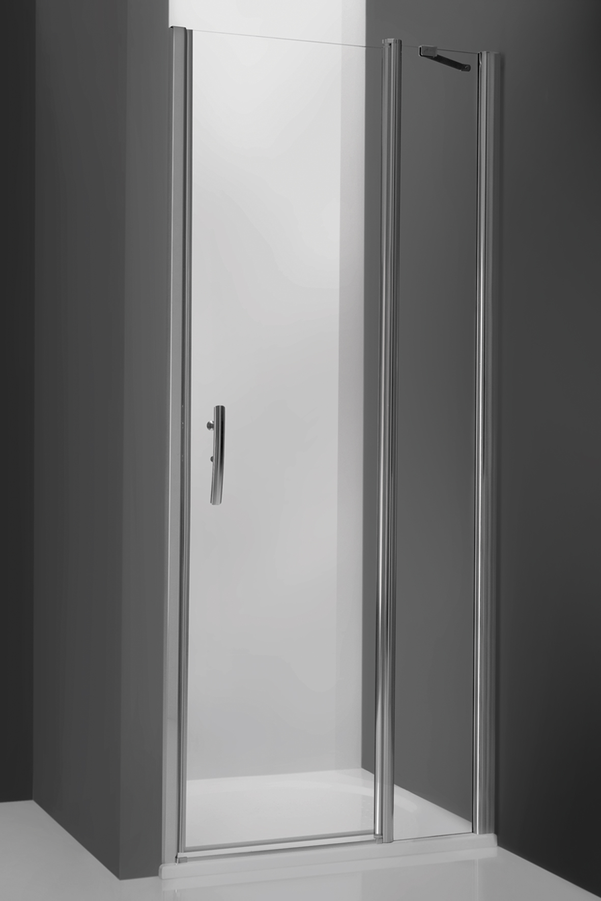 TDN1/1000 sprch.dveře elox/čiré